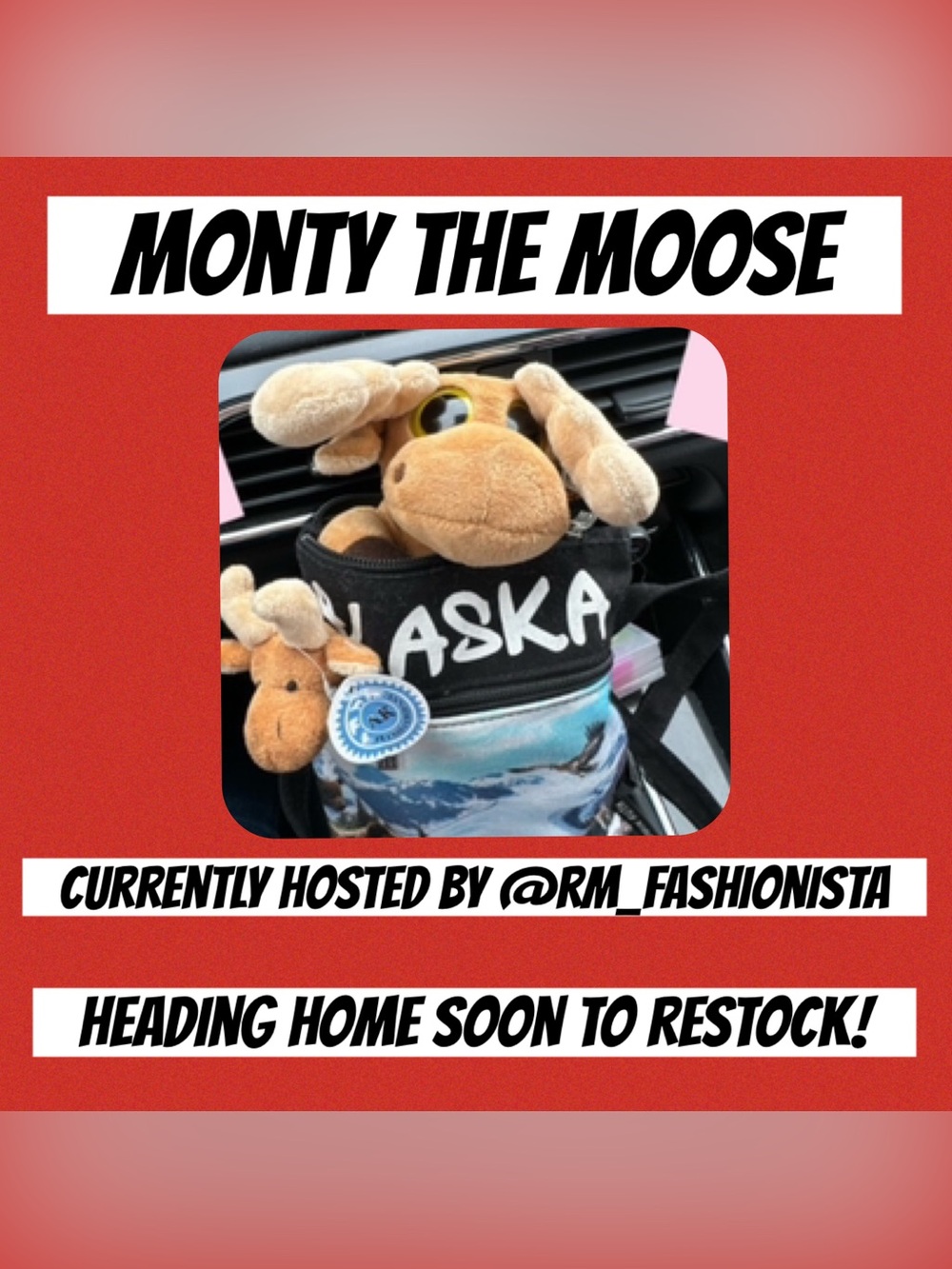 MONTY MOOSE TRACKING!     Where in the Posh Universe is Monty Moose?